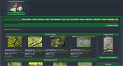 Desktop Screenshot of fotoptaki.art.pl
